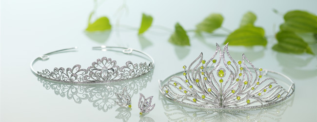 レンタルコレクション